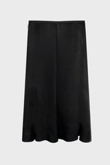 Sheer Flare Skirt